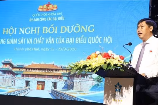 Hoạt động giám sát và chất vấn là 'thước đo' hiệu lực, hiệu quả của Nhà nước