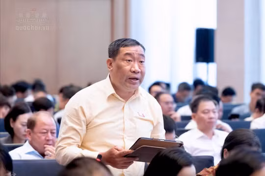 Đại biểu Quốc hội đề nghị cân nhắc việc tăng đồng loạt mức phạt vi phạm hành chính