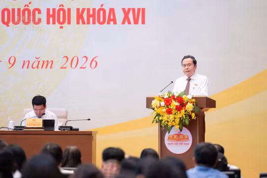 Làm luật trong tư duy hệ thống để phát triển bền vững