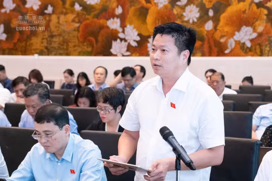Kiến nghị cho phép người dưới 15 tuổi hiến mô tái sinh trong trường hợp đặc biệt