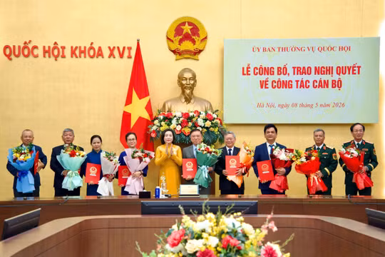 Công bố Nghị quyết của Ủy ban Thường vụ Quốc hội về công tác cán bộ