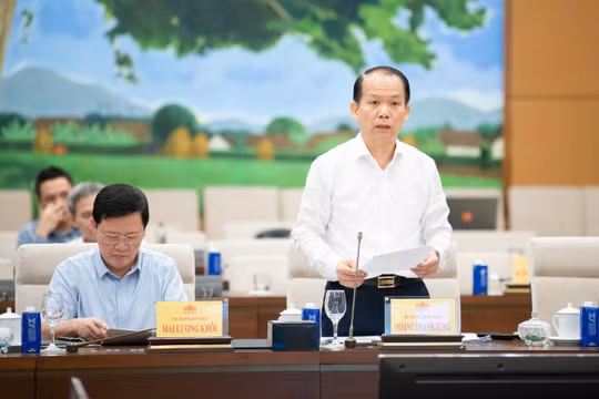 Đề xuất bổ sung quy định cấm tham gia đấu giá đối với người đã trúng đấu giá nhưng ‘bỏ cọc’