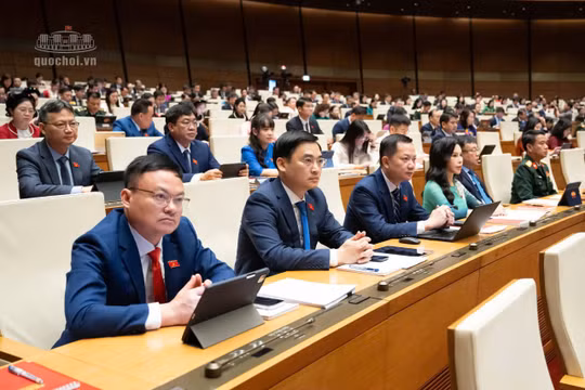 Quốc hội giám sát việc giải quyết kiến nghị của cử tri gửi đến Kỳ họp thứ Nhất: Tỷ lệ trả lời đạt 99,9%