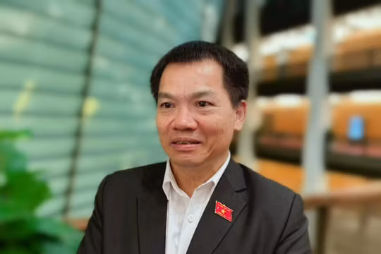 Đại biểu Quốc hội Dương Khắc Mai: Vốn phải chuyển hóa thành năng lực sản xuất