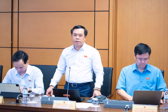 Khi đấu giá trực tuyến gặp sự cố: Không thể để người tham gia tự gánh thiệt hại