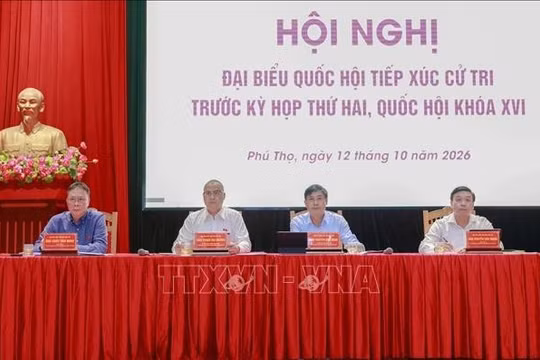 Cử tri kiến nghị hướng dẫn thống nhất việc tổ chức đơn vị tự quản dưới thôn, tổ dân phố