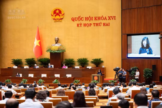 Sửa Luật hiến, ghép mô, tạng: Mở rộng nguồn hiến, tăng cơ hội ghép cho người bệnh