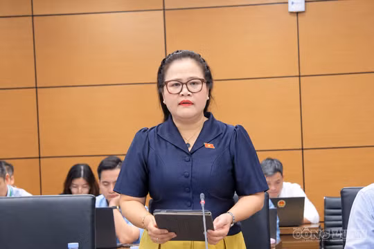Đề nghị bỏ quy định thu hồi đất trước khi phê duyệt phương án bồi thường