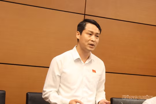Sai sót trong đấu thầu: Phải làm rõ trách nhiệm của đơn vị tư vấn