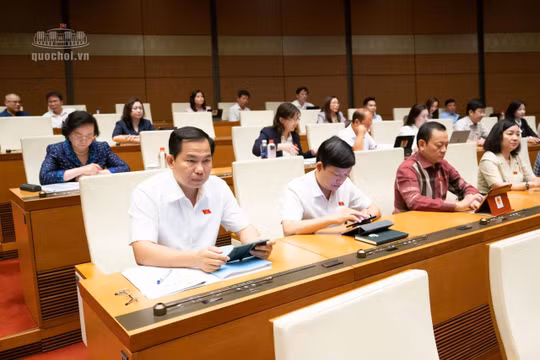 Rà soát để không chồng lấn giữa vi phạm hành chính và tội phạm hình sự