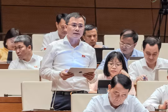 Tách rõ băng tần phục vụ quốc phòng, an ninh với phần khai thác kinh doanh