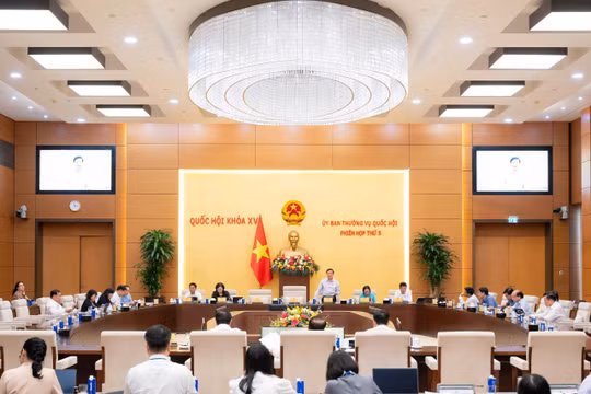 Giữ vai trò 'luật gốc' trong bồi thường nhà nước, tránh những điểm nghẽn pháp lý