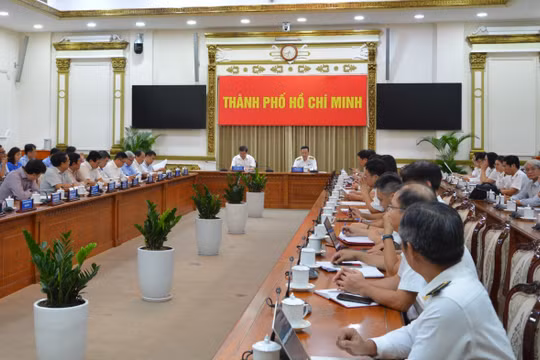 Công bố và triển khai 3 đoàn kiểm toán tại Thành phố Hồ Chí Minh