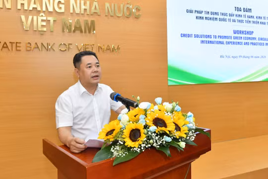 Dư nợ đạt 828 nghìn tỷ đồng, tín dụng xanh tăng tốc