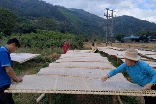 Từ 'có sản vật' đến 'có giá trị': Khoa học, công nghệ cần đi vào từng bản làng