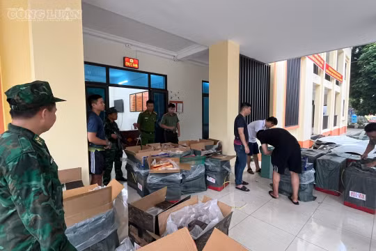 Biên phòng Lào Cai chủ trì triệt phá vụ vận chuyển 21.000 bao thuốc lá lậu