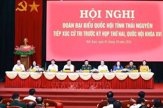 Cử tri kiến nghị bổ sung vốn chính sách hỗ trợ sản xuất, kinh doanh