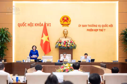 Hoàn thiện quy định về giao đất, cho thuê và chuyển mục đích sử dụng đất