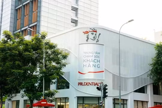 Prudential Việt Nam ghi nhận gần 7.800 tỷ đồng quyền lợi phải trả khách hàng, hàng trăm tỷ đồng phí và dịch vụ 'chảy' qua mạng lưới cùng tập đoàn ở nước ngoài
