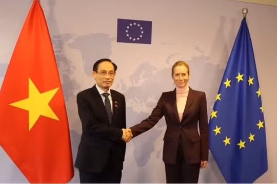 Việt Nam – EU nhất trí tăng cường phối hợp, thúc đẩy quan hệ Đối tác chiến lược toàn diện
