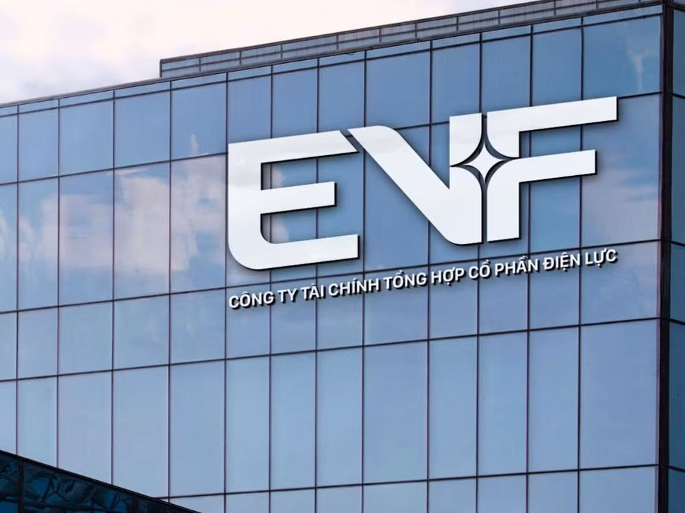 evf.jpg
