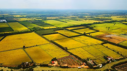 Chính phủ thông qua nội dung dự thảo về một số cơ chế, chính sách tháo gỡ khó khăn, vướng mắc trong thi hành Luật Đất đai- Ảnh 1.
