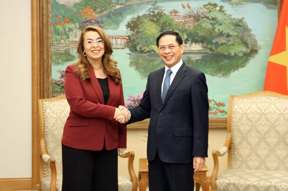 Việt Nam tăng cường hợp tác với UNODC trong phòng, chống tội phạm- Ảnh 1.