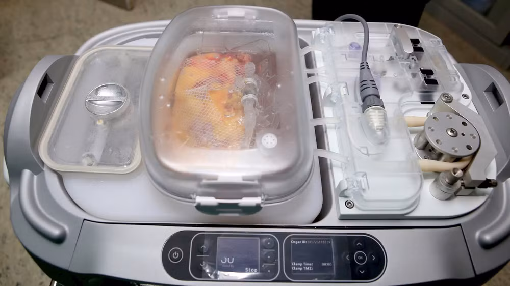 z7152707288505_3f50c40ed12cf1eeca81233ee97c7939.jpg