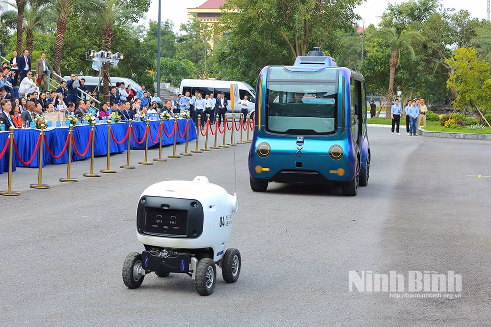 trình diễn 2