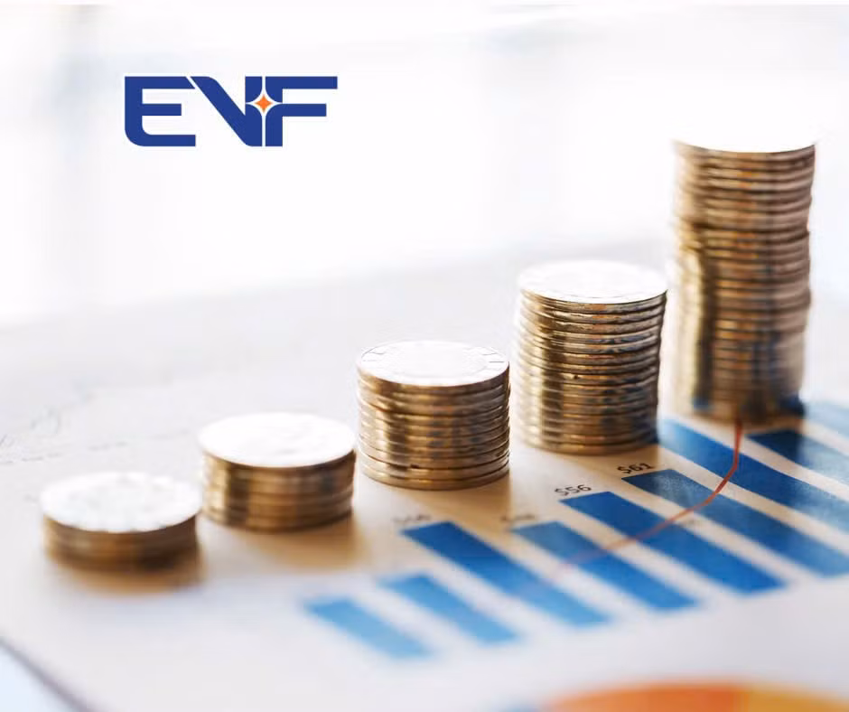 evf1.jpg