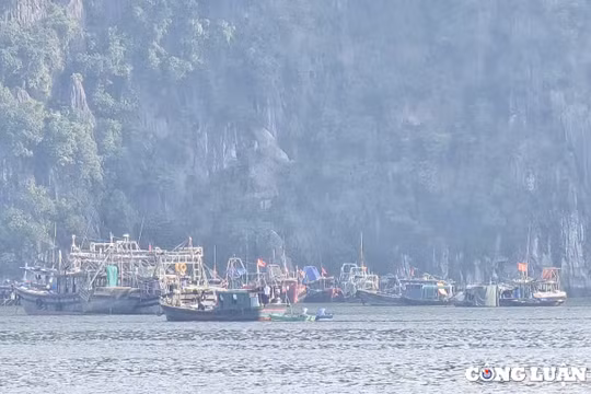Tàu thuyền tránh trú bão (ảnh minh hoạ).