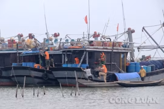Tàu thuyền tránh trú bão (ảnh minh hoạ).