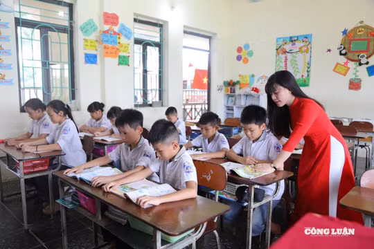 Theo các giáo viên, quy trình được rút ngắn giúp trường chủ động hơn trong tổ chức thực hiện.