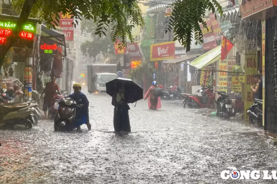 Quảng Ninh, Hải Phòng có nơi mưa trên 600mm trong 3 ngày tới. Ảnh minh hoạ