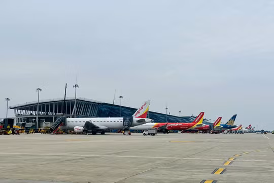 Hoạt động vận tải hàng không