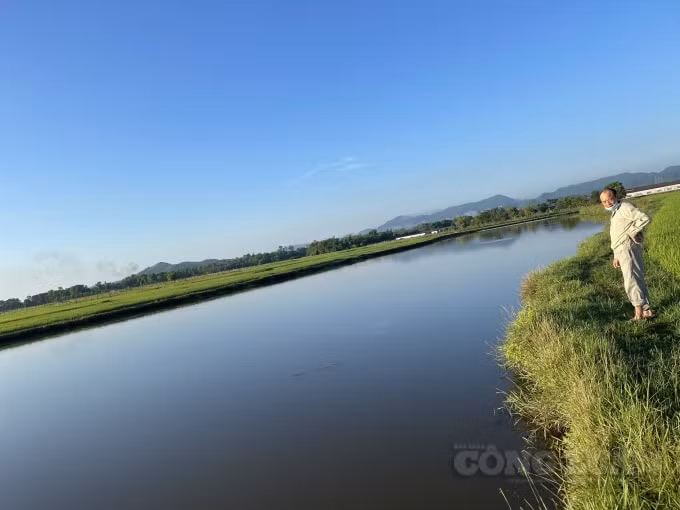 Nước thải bề mặt còn chảy tràn ra khắp cánh đồng gần đấy, dẫn theo hệ thống kênh mương
