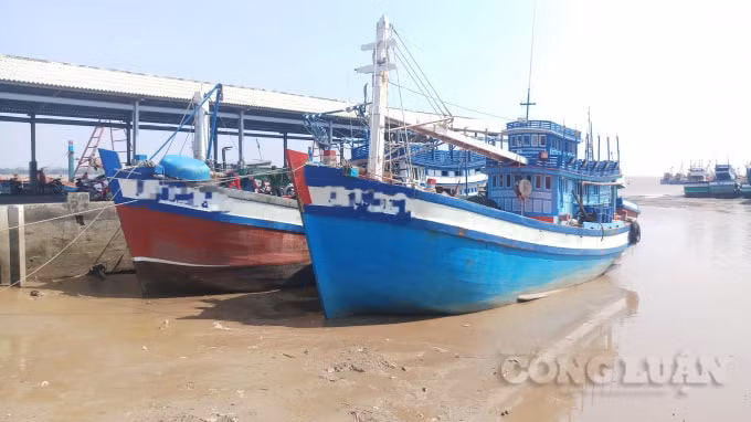 Cà Mau tăng cường kiểm soát các phương tiện ra vào tỉnh bằng đường biển.