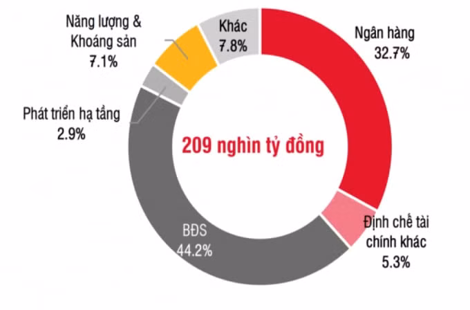 Nhóm doanh nghiệp bất động sản tiếp tục dẫn đầu về lượng phát hành trong 6 tháng đầu năm. Nguồn: SSI.