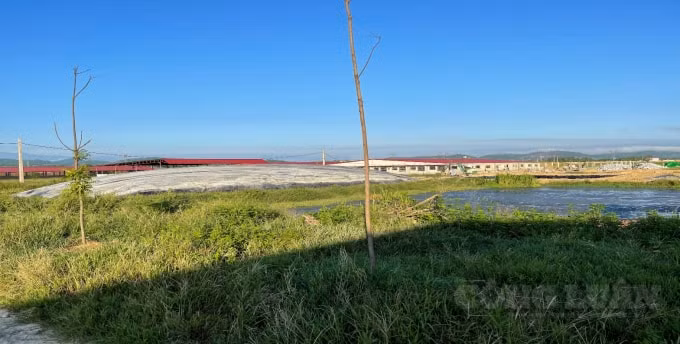 Công ty TNHH Khánh Giang nuôi lợn 