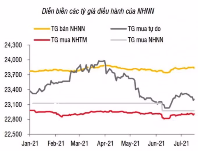 (Nguồn: Báo cáo SSI Research).