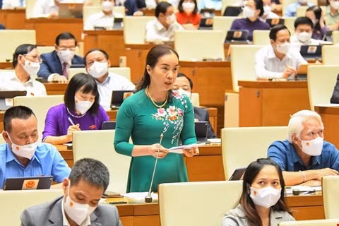 Đại biểu Quốc hội Nguyễn Thị Kim Anh (đoàn Bắc Ninh).