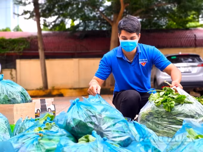 Bình Phước thực hiện “Chuyến xe nghĩa tình” để hỗ trợ rau củ quả cho người dân TP. HCM