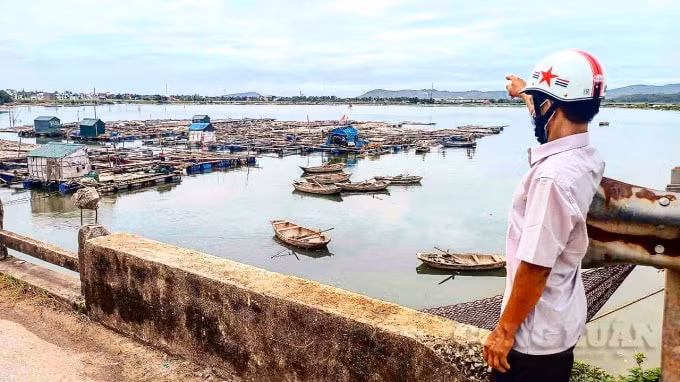 Các cơ quan chức năng đang vào cuộc kiểm tra cá chết