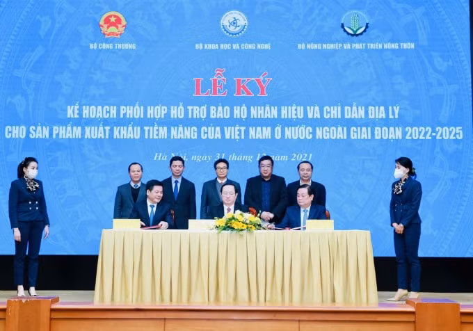 vai thieu xoai qua nhan qua va long nhan duoc ho tro bao ho nhan hieu va chi dan dia ly hinh 1