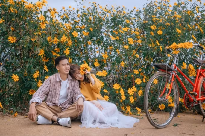 Gắn với câu chuyện đẹp về tình yêu đôi lứa, dù ở điều kiện thời tiết khắc nghiệt hay địa hình khô cằn, sỏi đá, dã quỳ vẫn vươn lên mạnh mẽ. Ảnh: Phi Anh.