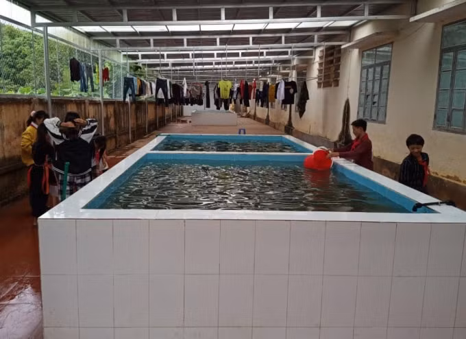 Sau khi được Sở Giáo dục và Đào tạo đầu tư.