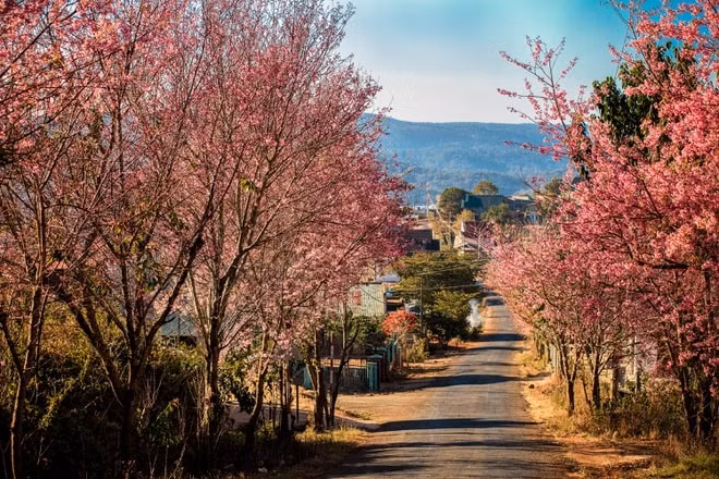 tour da lat