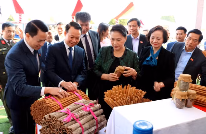 Chủ tịch Quốc hội thăm các gian hàng trưng bày các sản phẩm quế huyện Văn Yên.