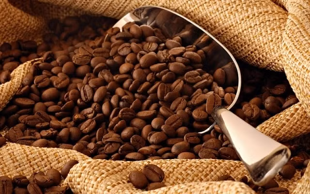 Giá cà phê hôm nay 11/11: Sắp chạm mốc 34.000 đồng/kg. Ảnh minh họa.