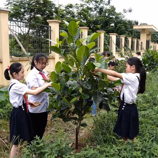 Trồng cây không chỉ để bảo vệ môi trường sống của chúng ta ngày hôm nay mà còn nhằm gìn giữ cho thế hệ tương lai.
